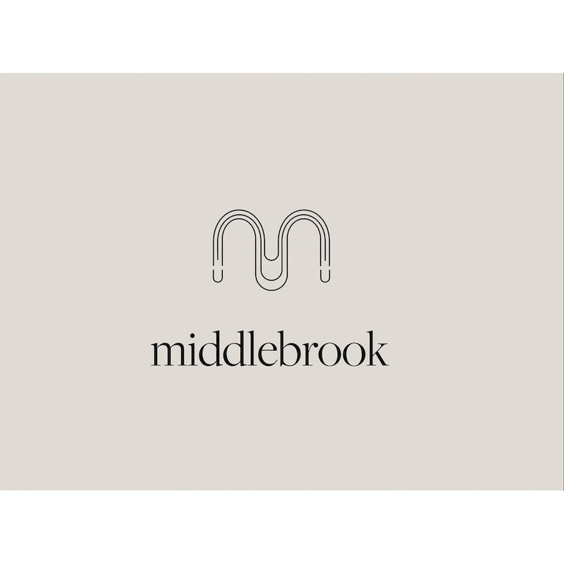 Mobile TV Middlebrook con 2 cassetti e base in metallo in stile contemporaneo