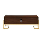 Mobile TV Middlebrook con 2 cassetti e base in metallo in stile contemporaneo